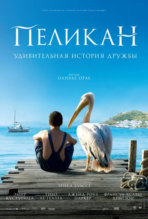 Фильм Пеликан 2011 года смотреть онлайн с Геннадием Пачисом и Эмиром Кустурицей